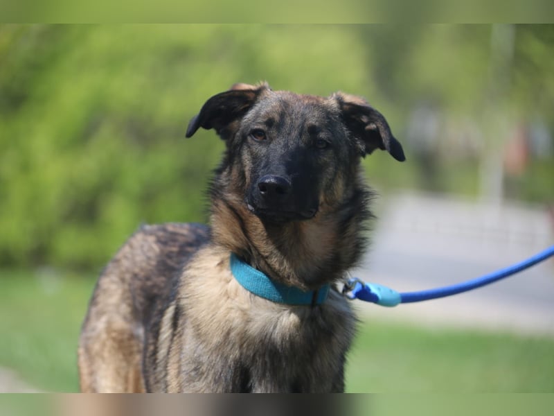 Vasilisa (1 jahre alt) sucht ein Zuhause