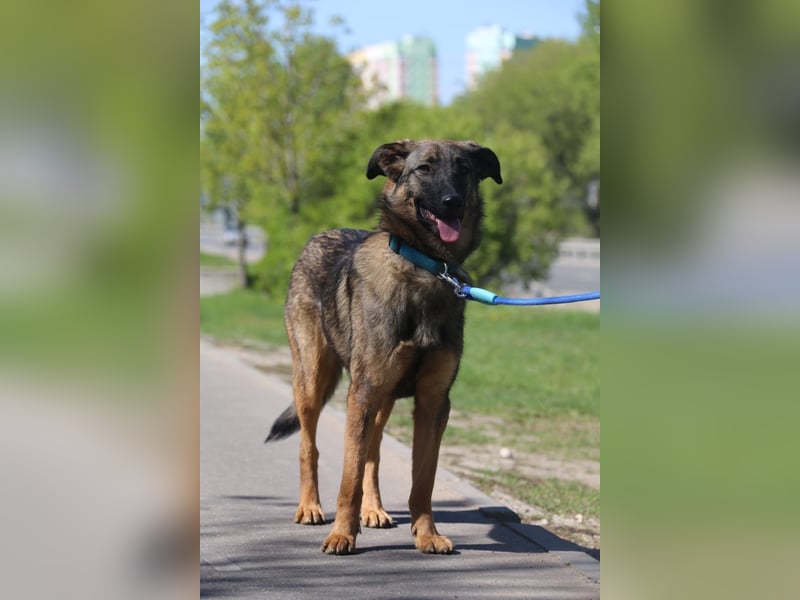 Vasilisa (1 jahre alt) sucht ein Zuhause