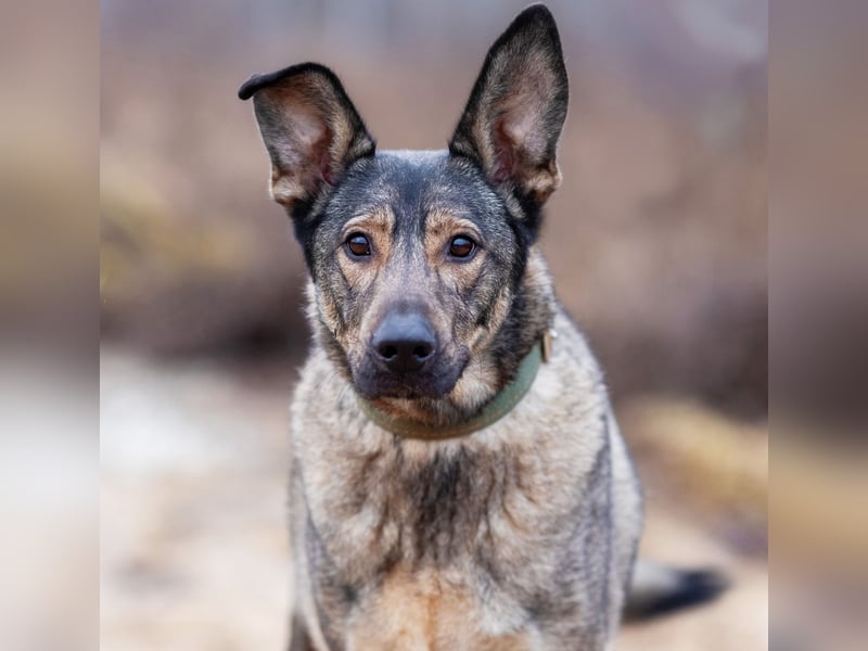 Laura wünscht sich eine aktive Familie