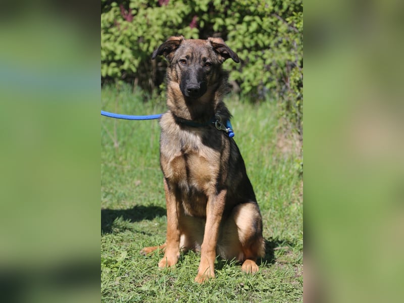 Vasilisa (1 jahre alt) sucht ein Zuhause