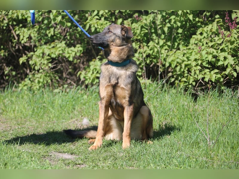 Vasilisa (1 jahre alt) sucht ein Zuhause