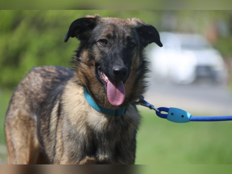 Vasilisa (1 jahre alt) sucht ein Zuhause