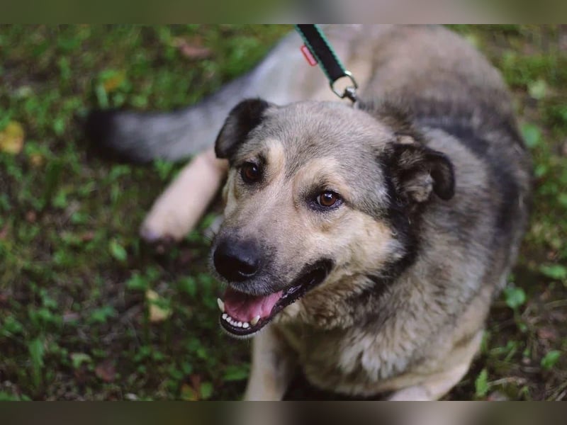 Lyon möchte endlich Liebe und wärme spüren