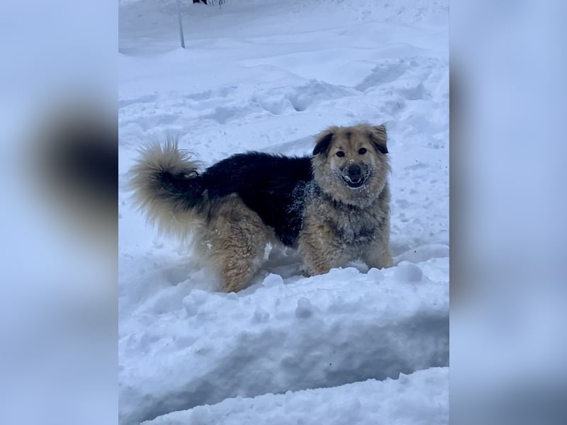 Aktiv und fröhlich durchs Leben mit Lora
