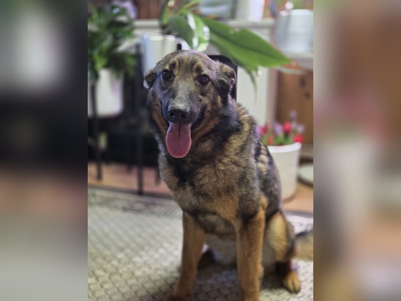 Ein Herz für Vasilisa geben Sie ihr eine Chance auf ein glückliches Leben!