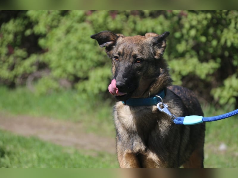Vasilisa (1 jahre alt) sucht ein Zuhause