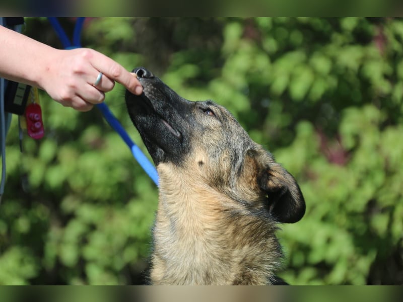 Vasilisa (1 jahre alt) sucht ein Zuhause