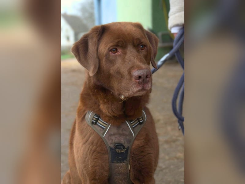 Moses - ist lieb&vorsichtig bei Kindern