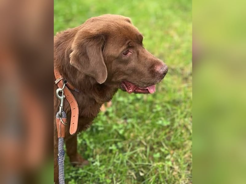 Moses - ist lieb&vorsichtig bei Kindern