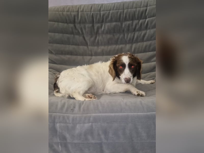 Hübsche ELZA sucht ihr Zuhause!