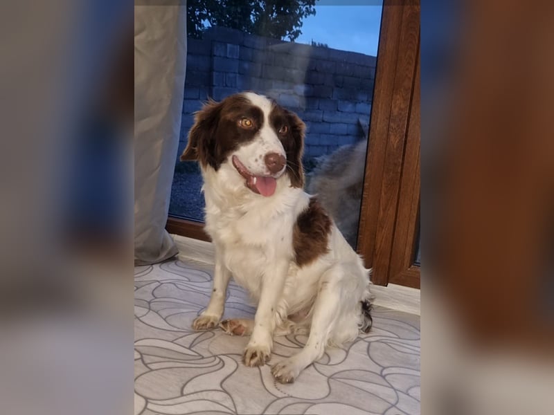 Hübsche ELZA sucht ihr Zuhause!