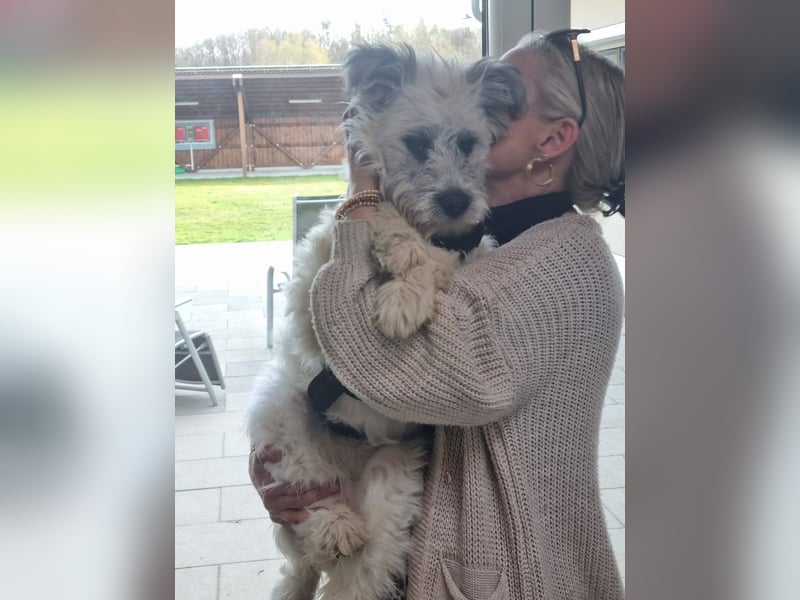 Julchen, zarte Seele sucht ihr Zuhause, Ps in 86633 Neuburg a.d.Donau