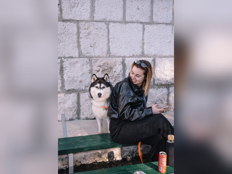 lebensfrohe Husky Dame Astra