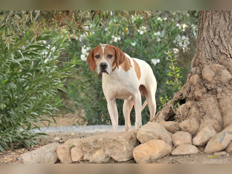 Möchtest du Polu der sichere Hafen sein, in dem er zur Ruhe kommen darf?
