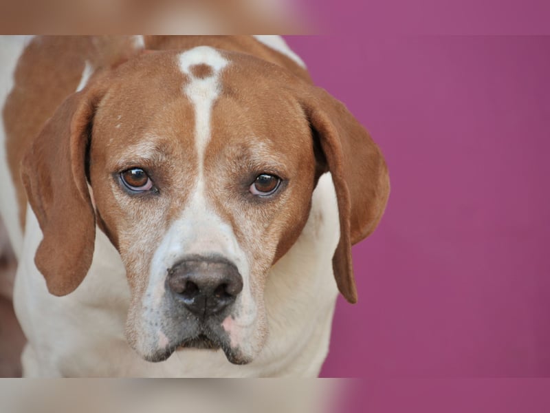 Möchtest du Polu der sichere Hafen sein, in dem er zur Ruhe kommen darf?