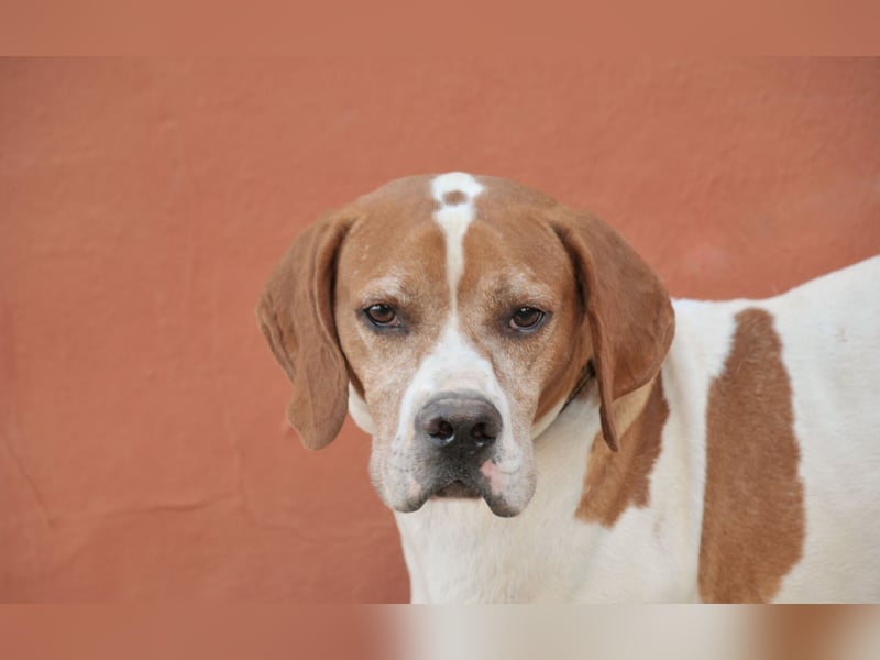 Möchtest du Polu der sichere Hafen sein, in dem er zur Ruhe kommen darf?