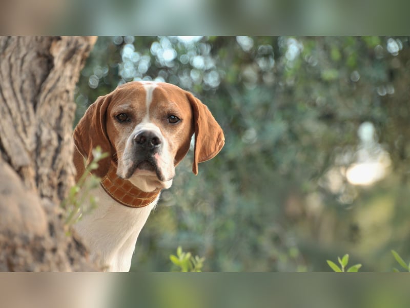 Möchtest du Polu der sichere Hafen sein, in dem er zur Ruhe kommen darf?