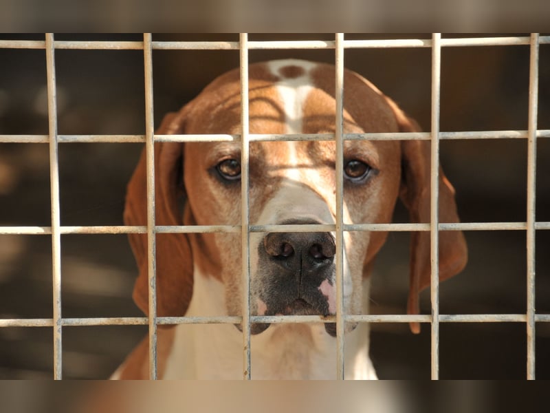 Möchtest du Polu der sichere Hafen sein, in dem er zur Ruhe kommen darf?