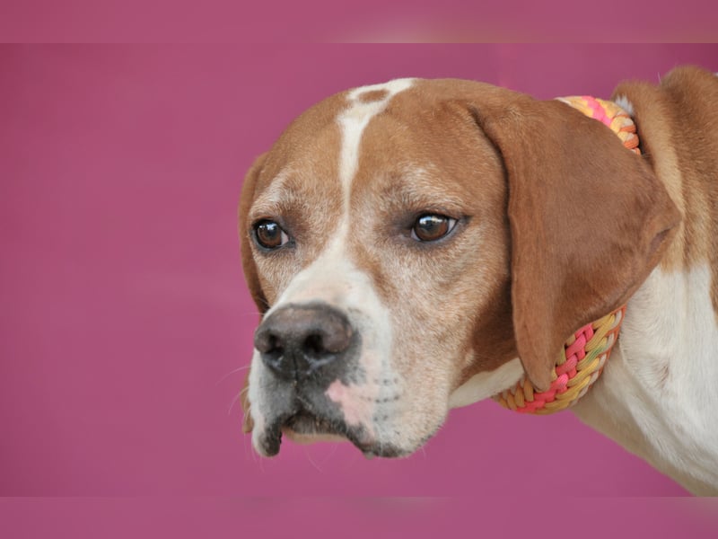 Möchtest du Polu der sichere Hafen sein, in dem er zur Ruhe kommen darf?