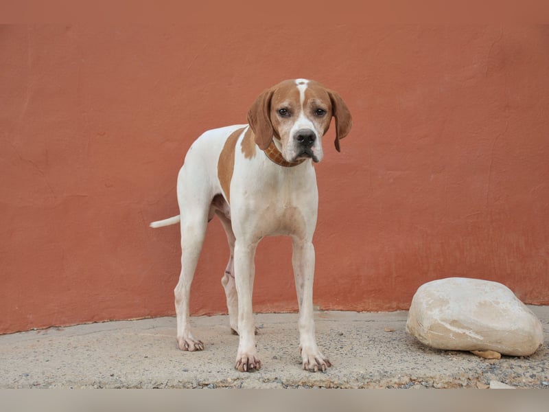 Möchtest du Polu der sichere Hafen sein, in dem er zur Ruhe kommen darf?