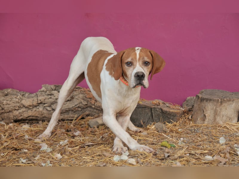 Möchtest du Polu der sichere Hafen sein, in dem er zur Ruhe kommen darf?