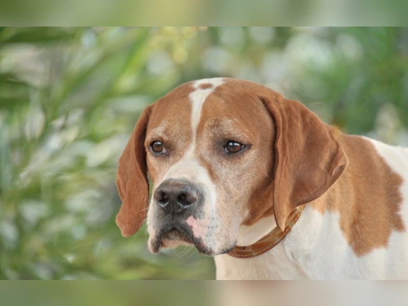 Möchtest du Polu der sichere Hafen sein, in dem er zur Ruhe kommen darf?