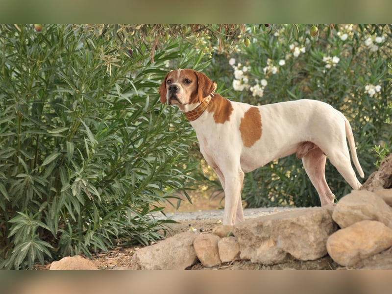 Möchtest du Polu der sichere Hafen sein, in dem er zur Ruhe kommen darf?