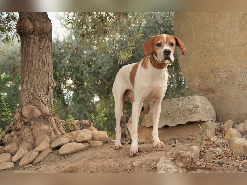 Möchtest du Polu der sichere Hafen sein, in dem er zur Ruhe kommen darf?
