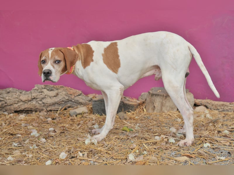 Möchtest du Polu der sichere Hafen sein, in dem er zur Ruhe kommen darf?