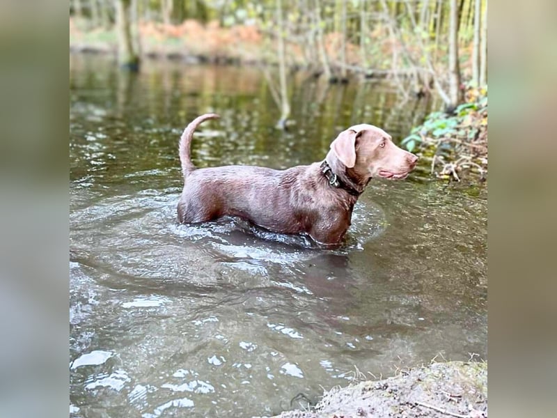 Lia - die Wasserratte