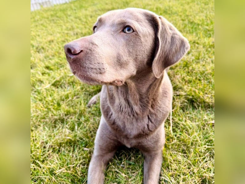 Lia - die Wasserratte