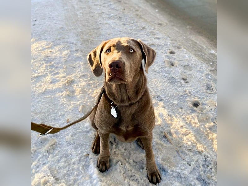 Lia - die Wasserratte