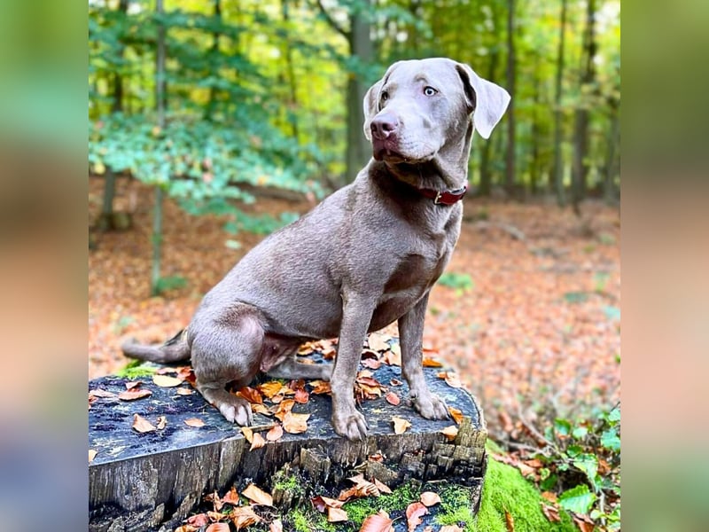 Lia - die Wasserratte