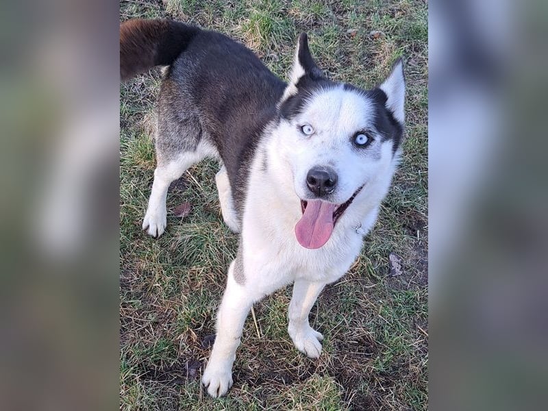 Herceg ( * 03 / 2021 ) sucht seine Familie