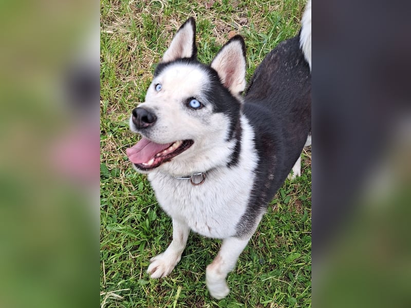 Herceg ( * 03 / 2021 ) sucht seine Familie