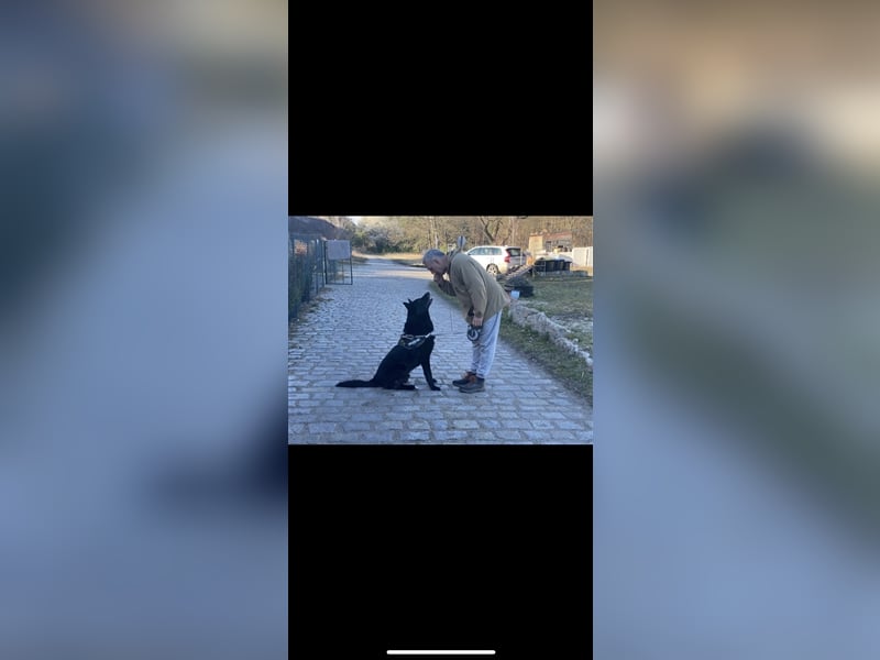 Jerry (3j) sucht ein Zuhause