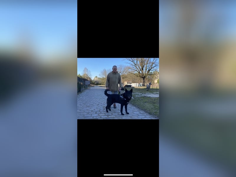 Jerry (3j) sucht ein Zuhause