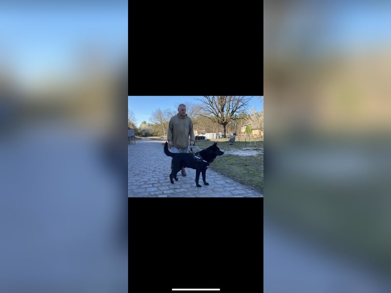 Jerry (3j) sucht ein Zuhause
