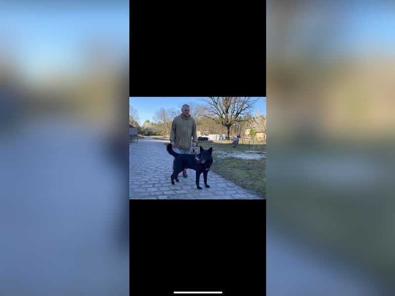 Jerry (3j) sucht ein Zuhause