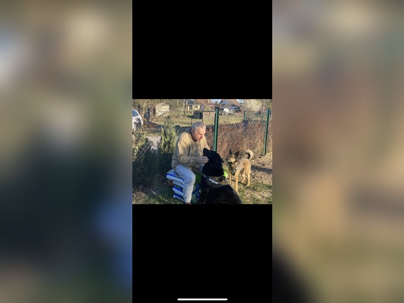 Jerry (3j) sucht ein Zuhause