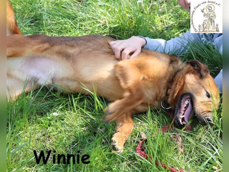 Winnie - liebenswerter Clown