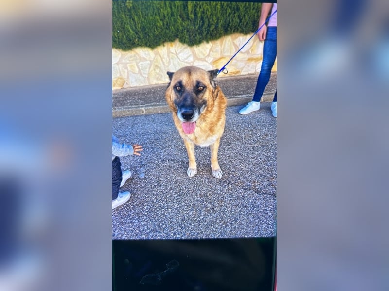 Henry- sucht Altersruhesitz