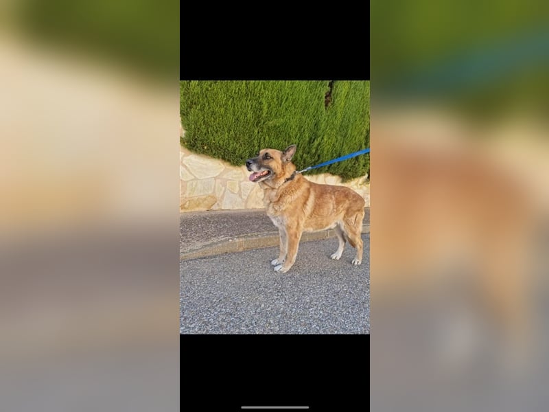 Henry- sucht Altersruhesitz