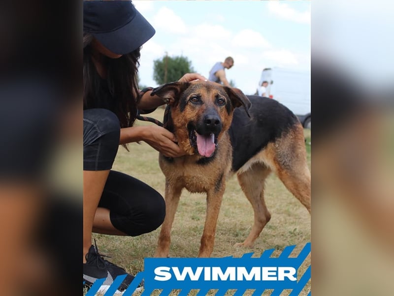 Swimmer