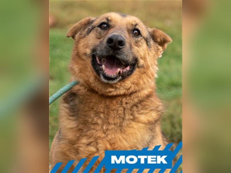 Motek