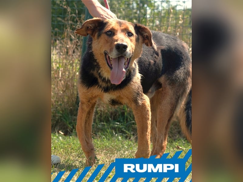 Rumpi