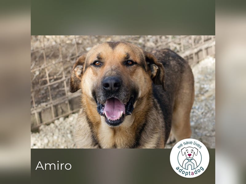 Amiro – Raus aus dem Zwinger