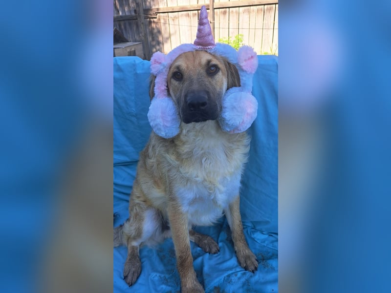 Spike kinderlieber Junger Mann sucht sein Platz