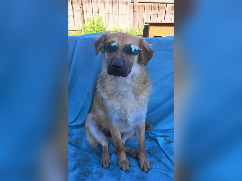 Spike kinderlieber Junger Mann sucht sein Platz