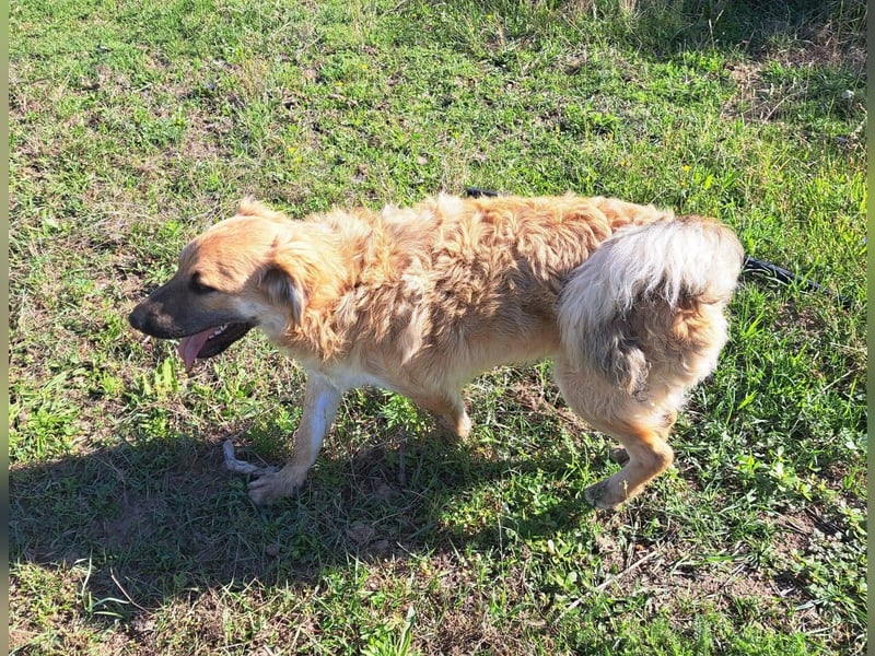 Spike kinderlieber Junger Mann sucht sein Platz